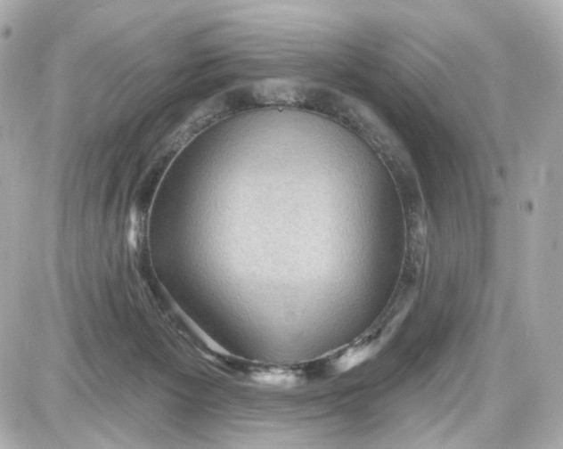 X0000087590125200705112313