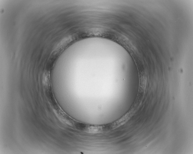 X0000087590126200705112313