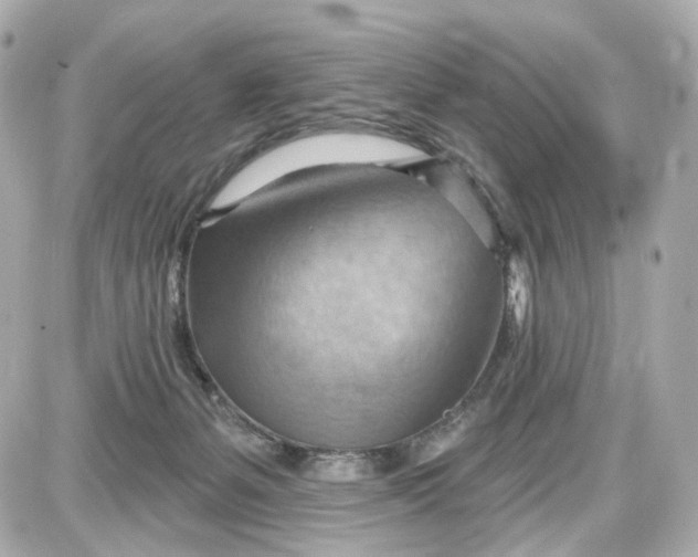 X0000087590127200705112313