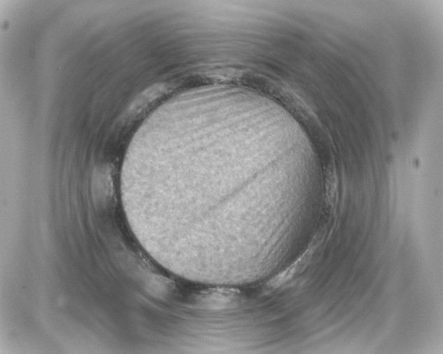 X0000087590128200705112313