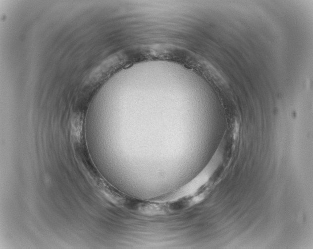 X0000087590129200705112313