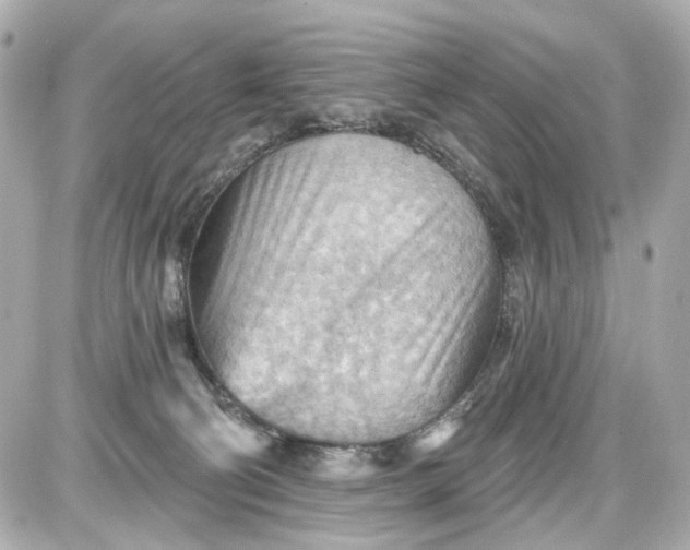 X0000087590130200705112313