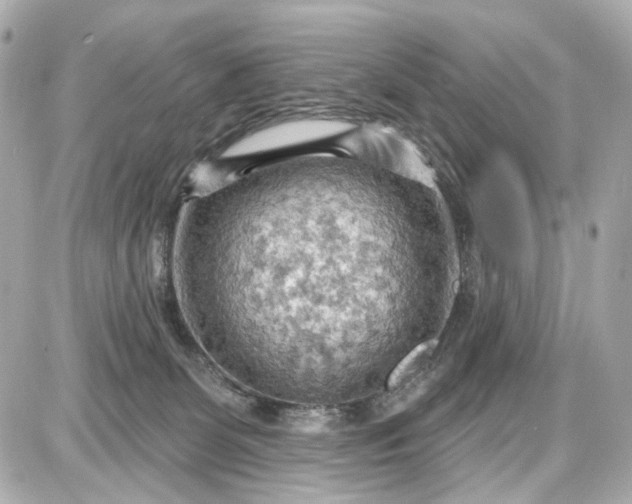 X0000087590131200705112313