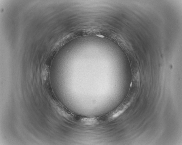 X0000087590133200705112313