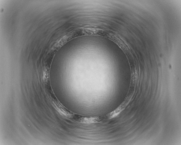 X0000087590134200705112313