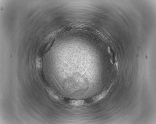 X0000087590135200705112313