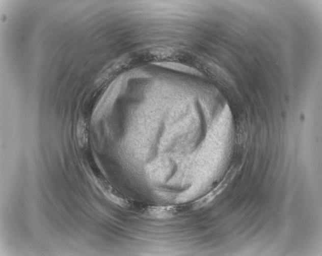 X0000087590136200705112313