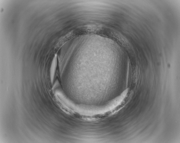 X0000087590137200705112312