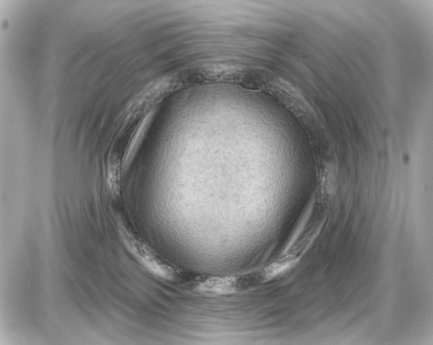 X0000087590138200705112312