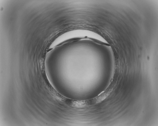 X0000087590139200705112312