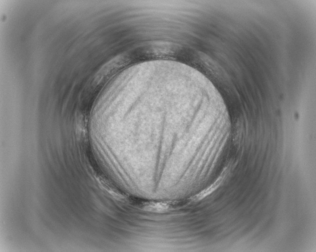 X0000087590140200705112312