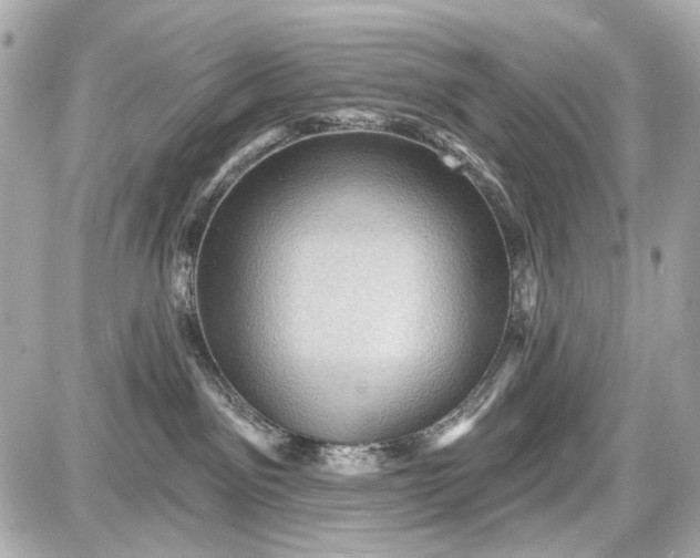 X0000087590141200705112312