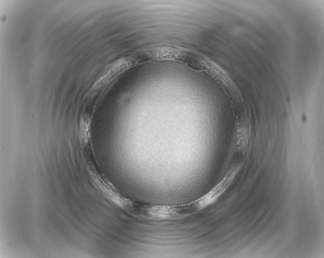 X0000087590142200705112312