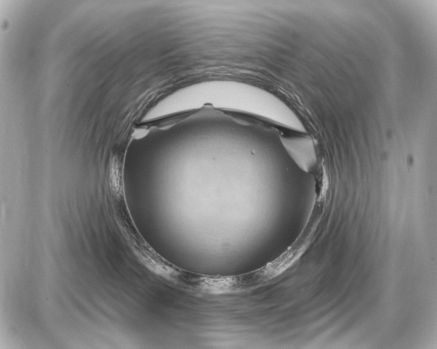 X0000087590143200705112312