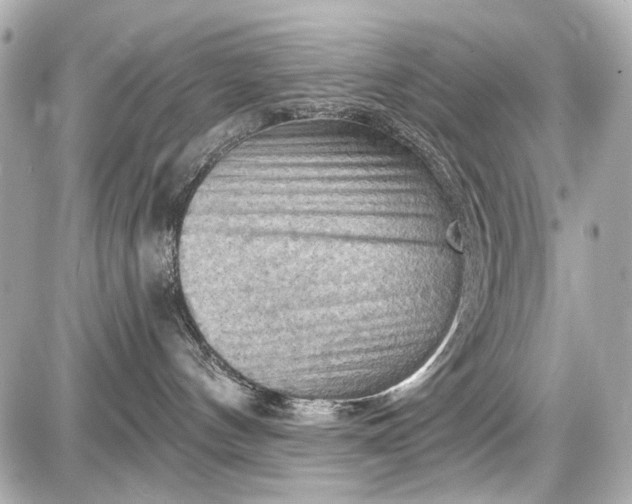 X0000087590144200705112312