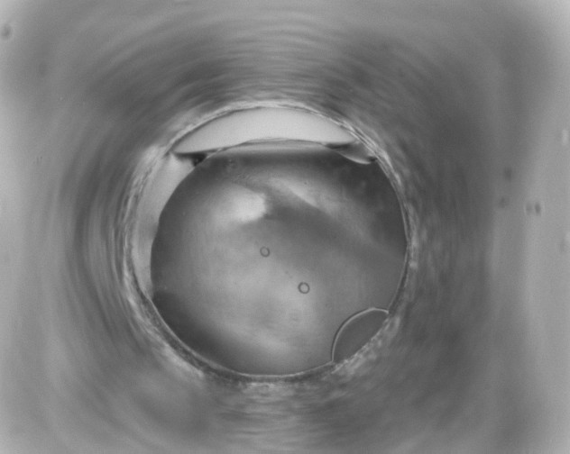 X0000087590145200705112312