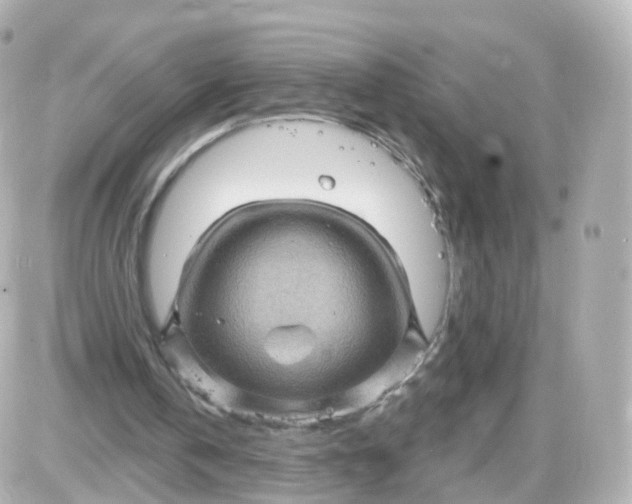 X0000087590146200705112312