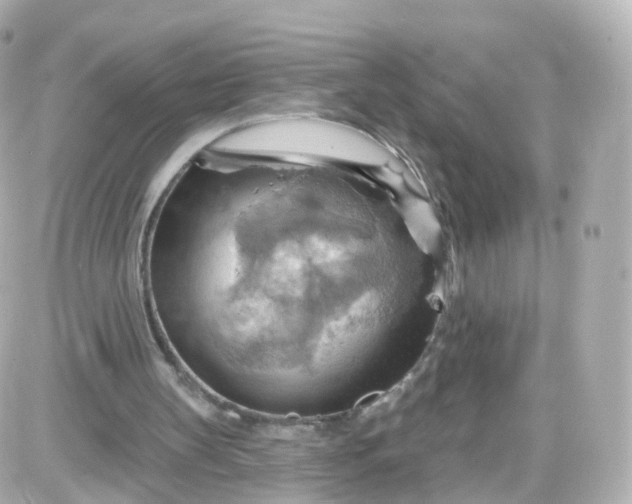 X0000087590147200705112312