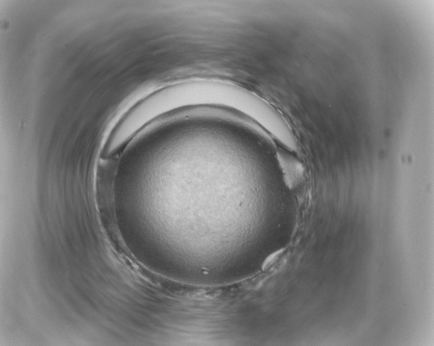 X0000087590148200705112312