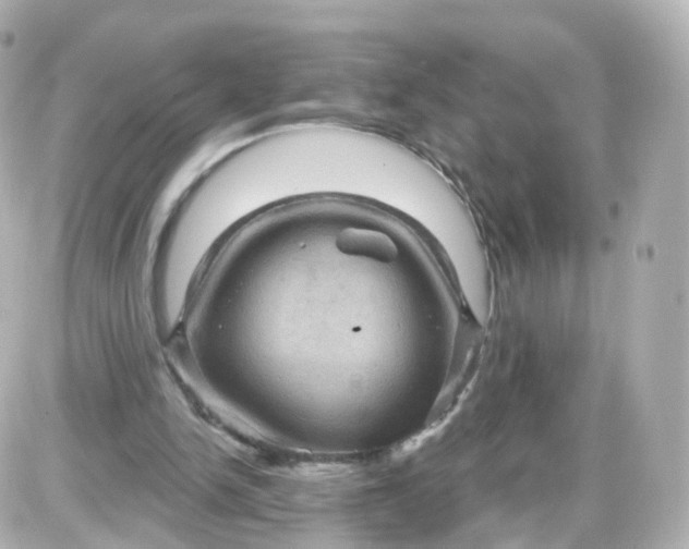 X0000087590150200705112312