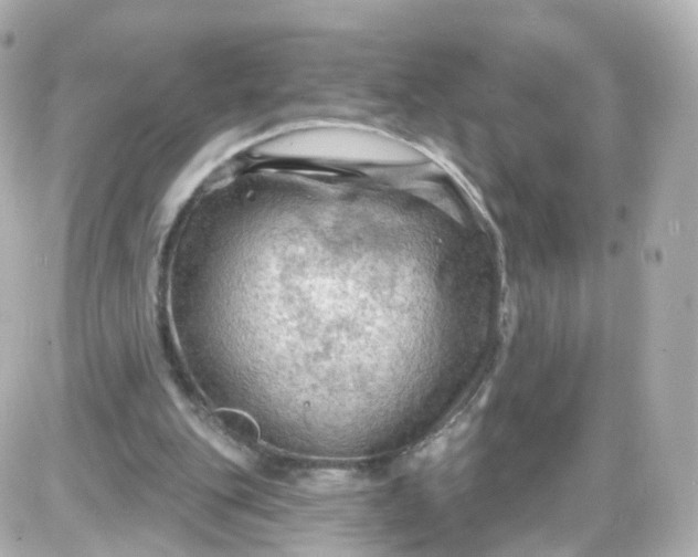 X0000087590151200705112312