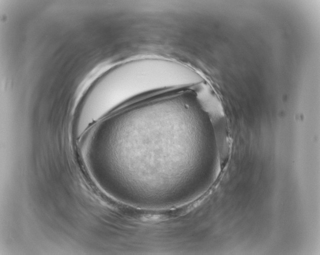 X0000087590152200705112312