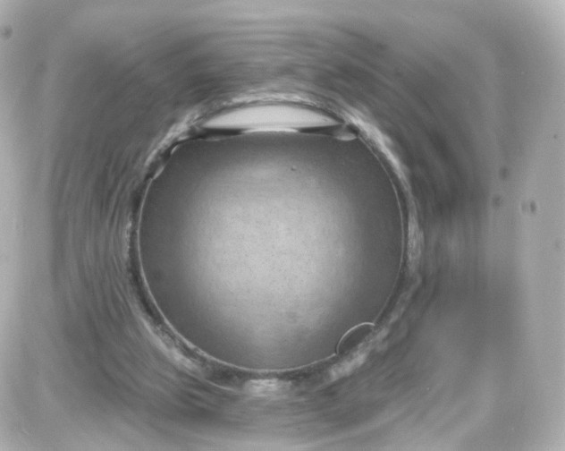 X0000087590153200705112312