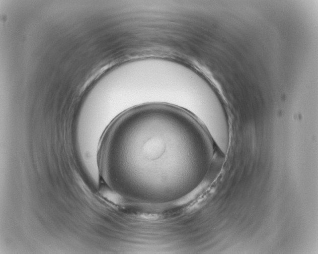 X0000087590154200705112312