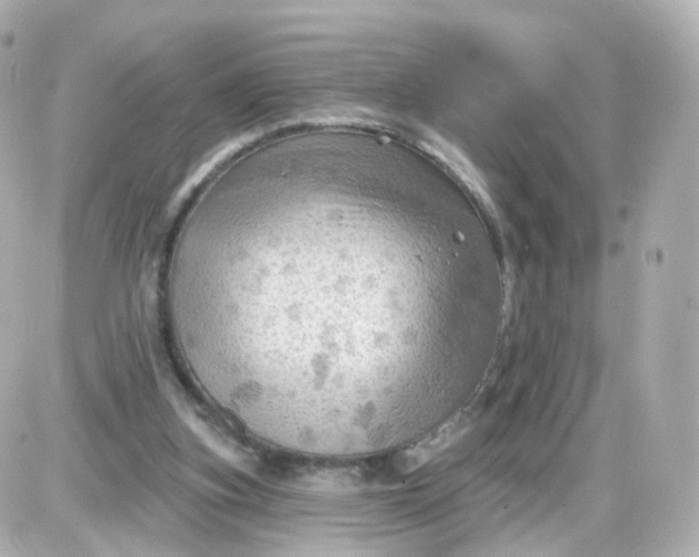 X0000087590155200705112312