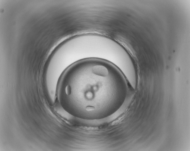 X0000087590156200705112312