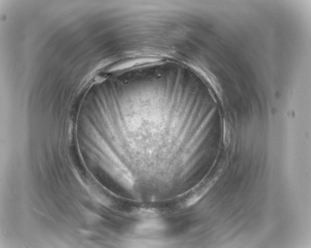 X0000087590157200705112312