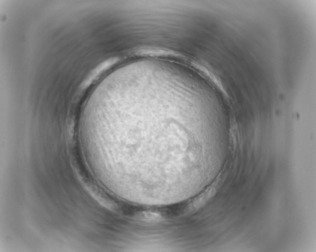 X0000087590159200705112312