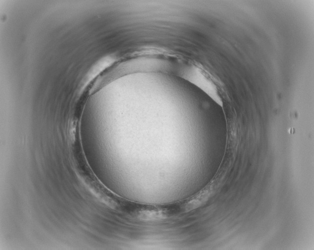 X0000087590160200705112312