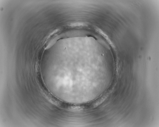 X0000087590161200705112312