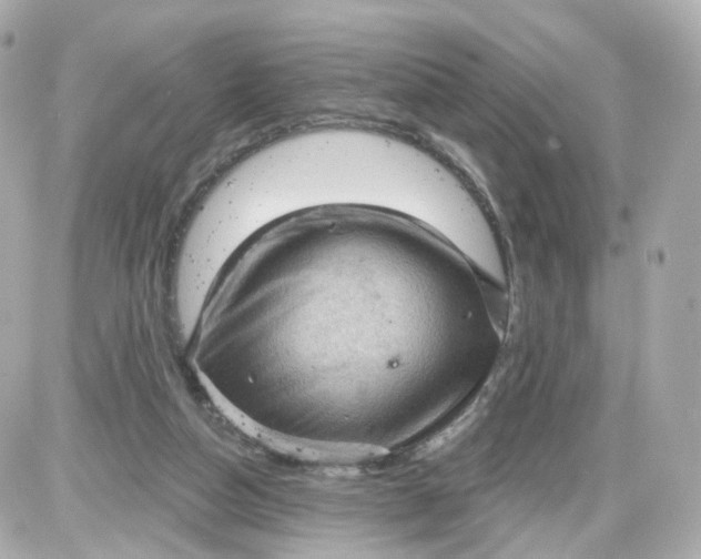 X0000087590162200705112312