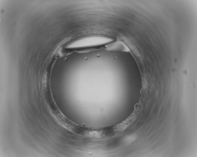 X0000087590163200705112312