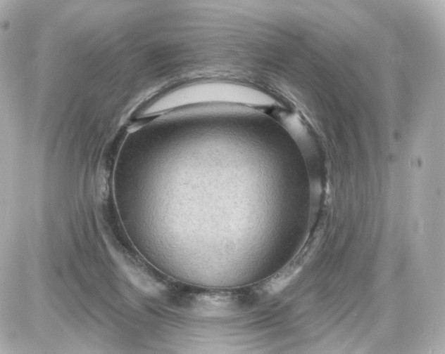 X0000087590164200705112312