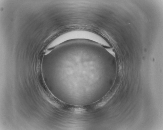 X0000087590165200705112312