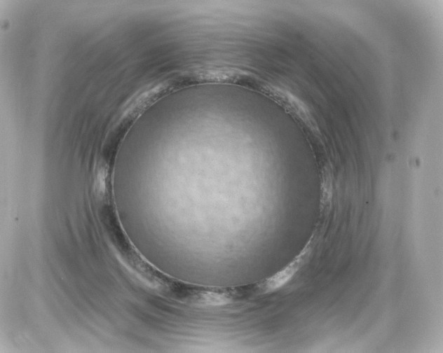 X0000087590166200705112312