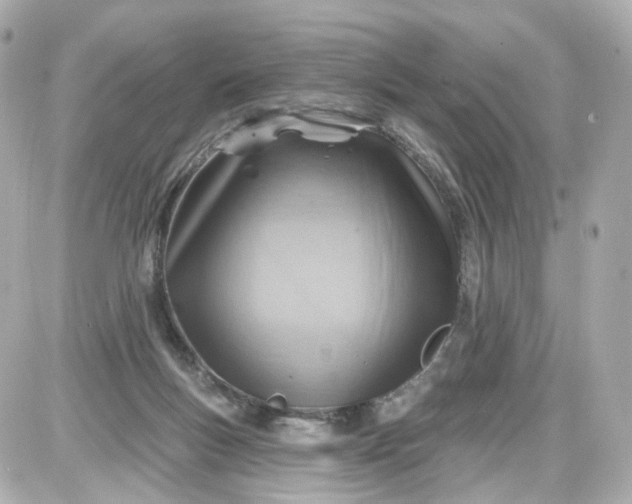 X0000087590167200705112312