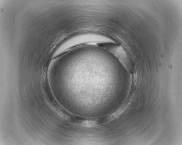 X0000087590168200705112312