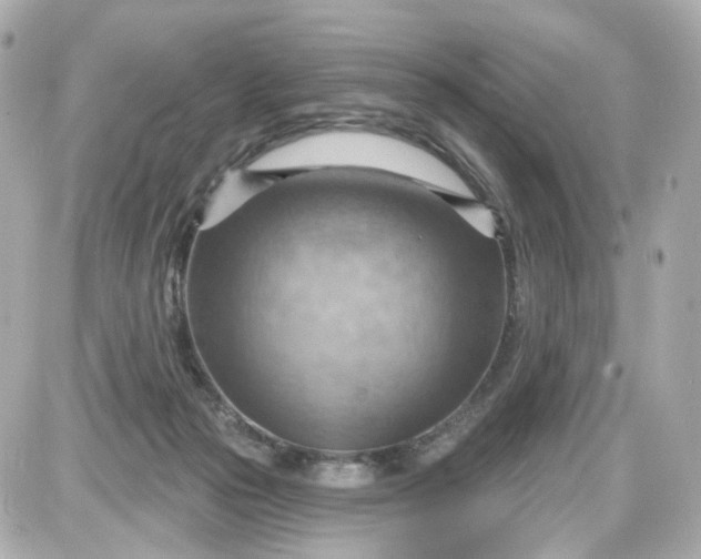 X0000087590169200705112312