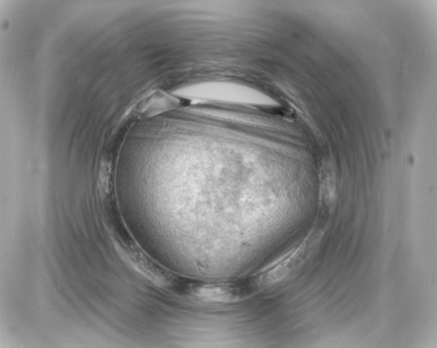 X0000087590171200705112312