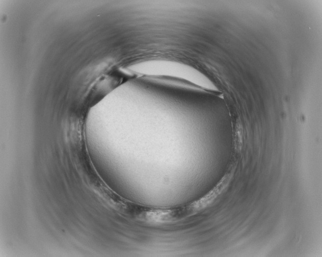 X0000087590172200705112312