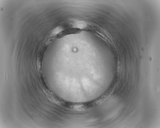 X0000087590173200705112312