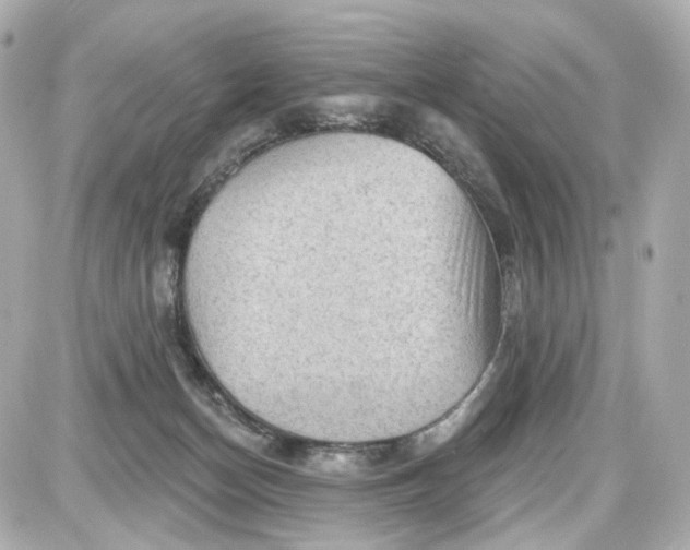 X0000087590174200705112312