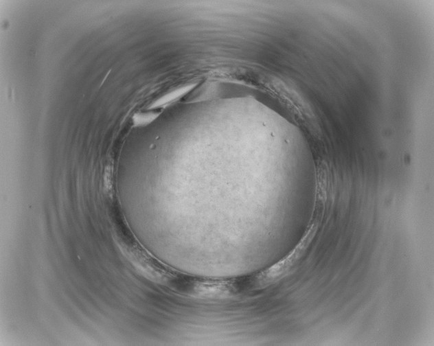 X0000087590175200705112312