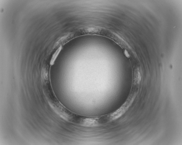 X0000087590176200705112312