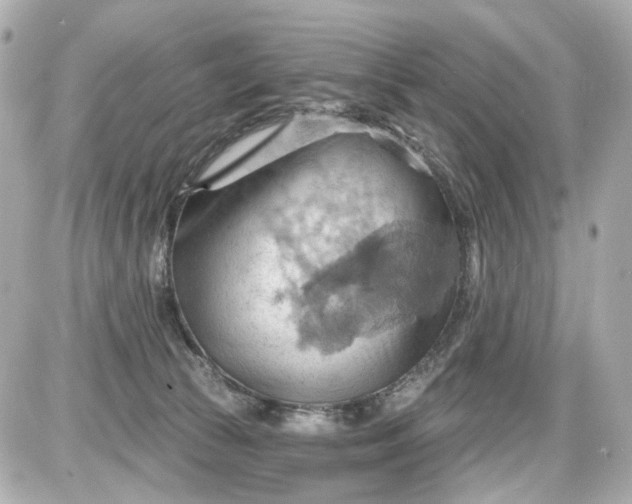 X0000087590177200705112312