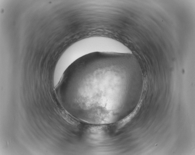 X0000087590178200705112312